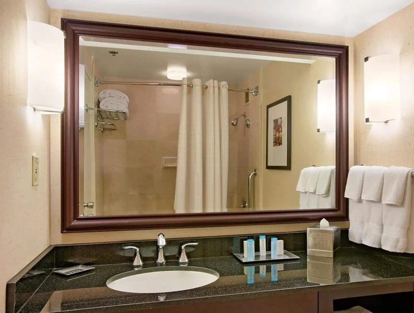 Hilton San Diego Airport/Harbor Island Badezimmer