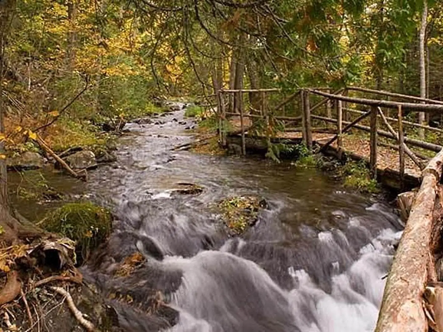 The Algonquin Resort St. Andrews by-the-Sea, Autograph Collection LANDSCAPE