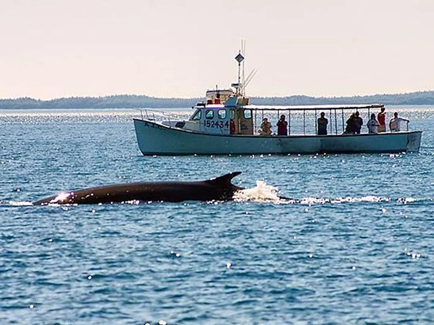 The Algonquin Resort St. Andrews by-the-Sea, Autograph Collection LANDSCAPE