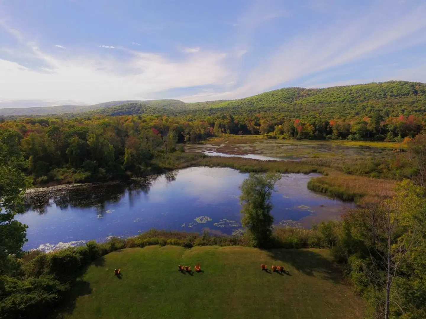Hampton Inn & Suites Berkshires-Lenox LANDSCAPE