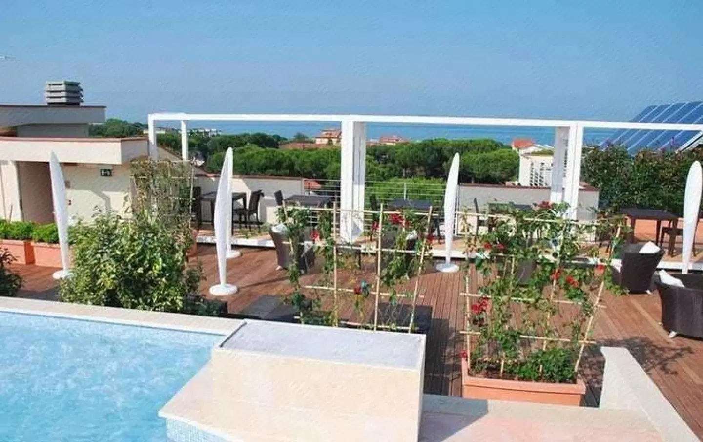Zen Hotel Versilia OUTDOOR_POOL