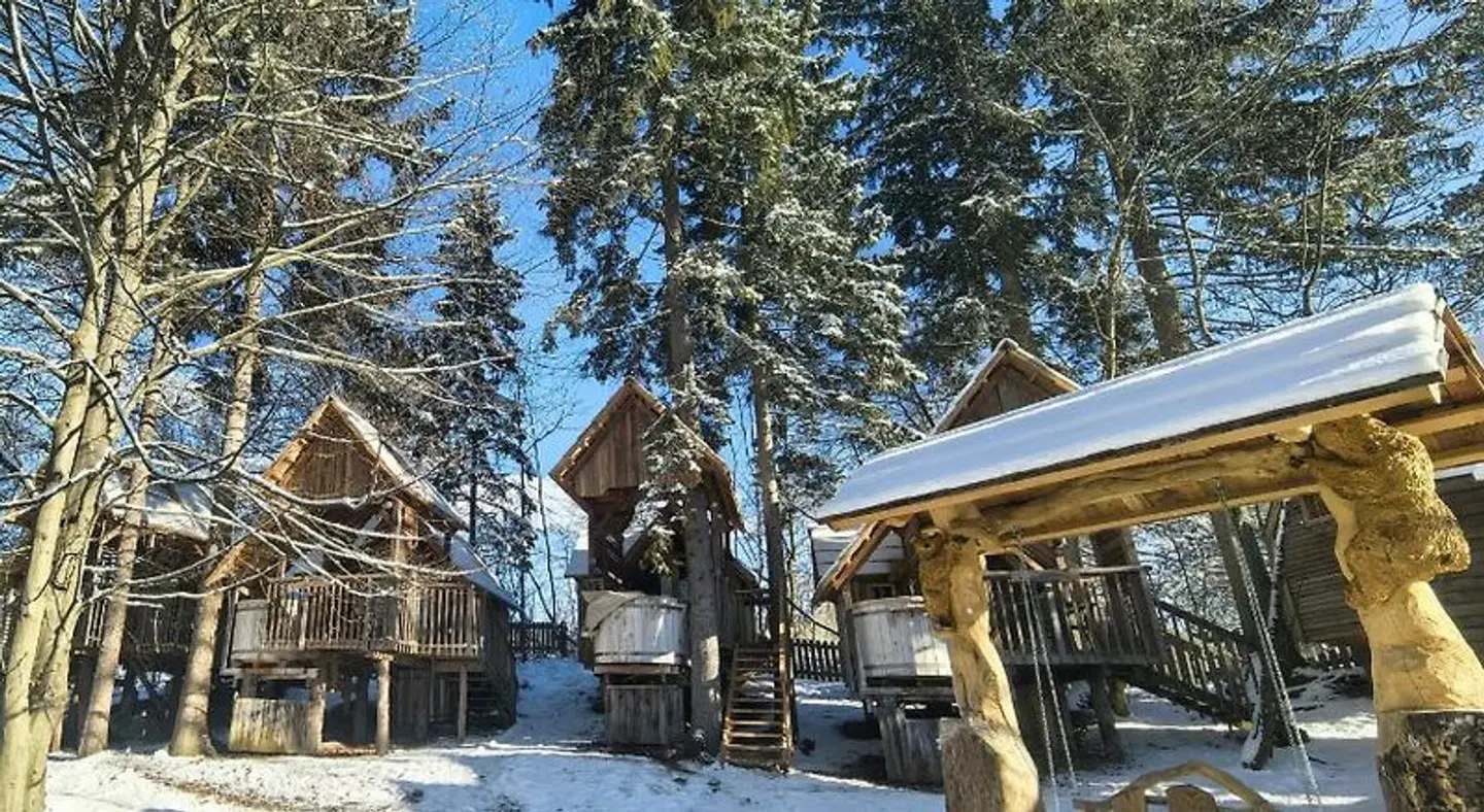 Ribno Alpine Glamping Terrasse