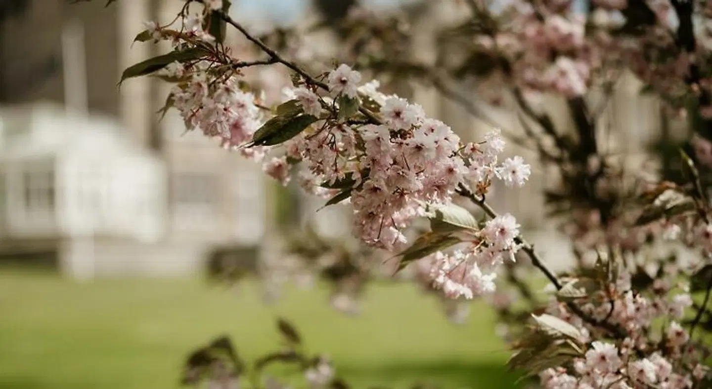 Matfen Hall Country House Tiere
