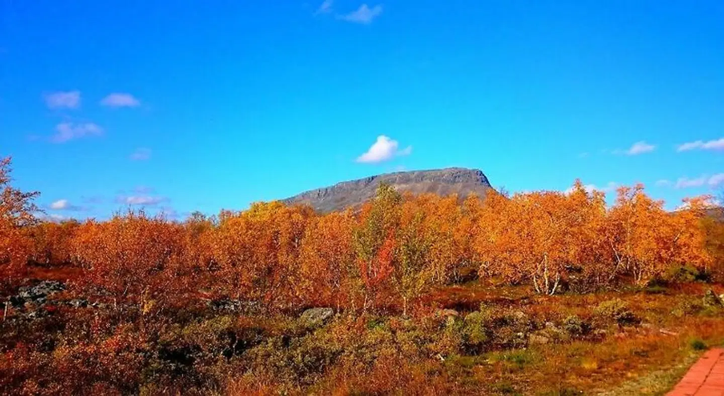 Tundrea Holiday Resort LANDSCAPE