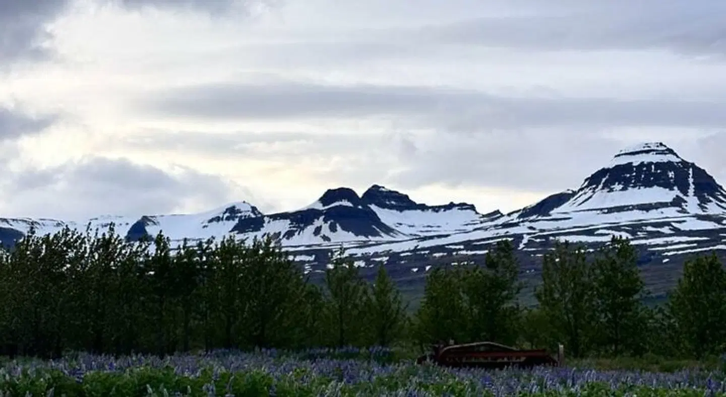Hotel Stadarborg LANDSCAPE