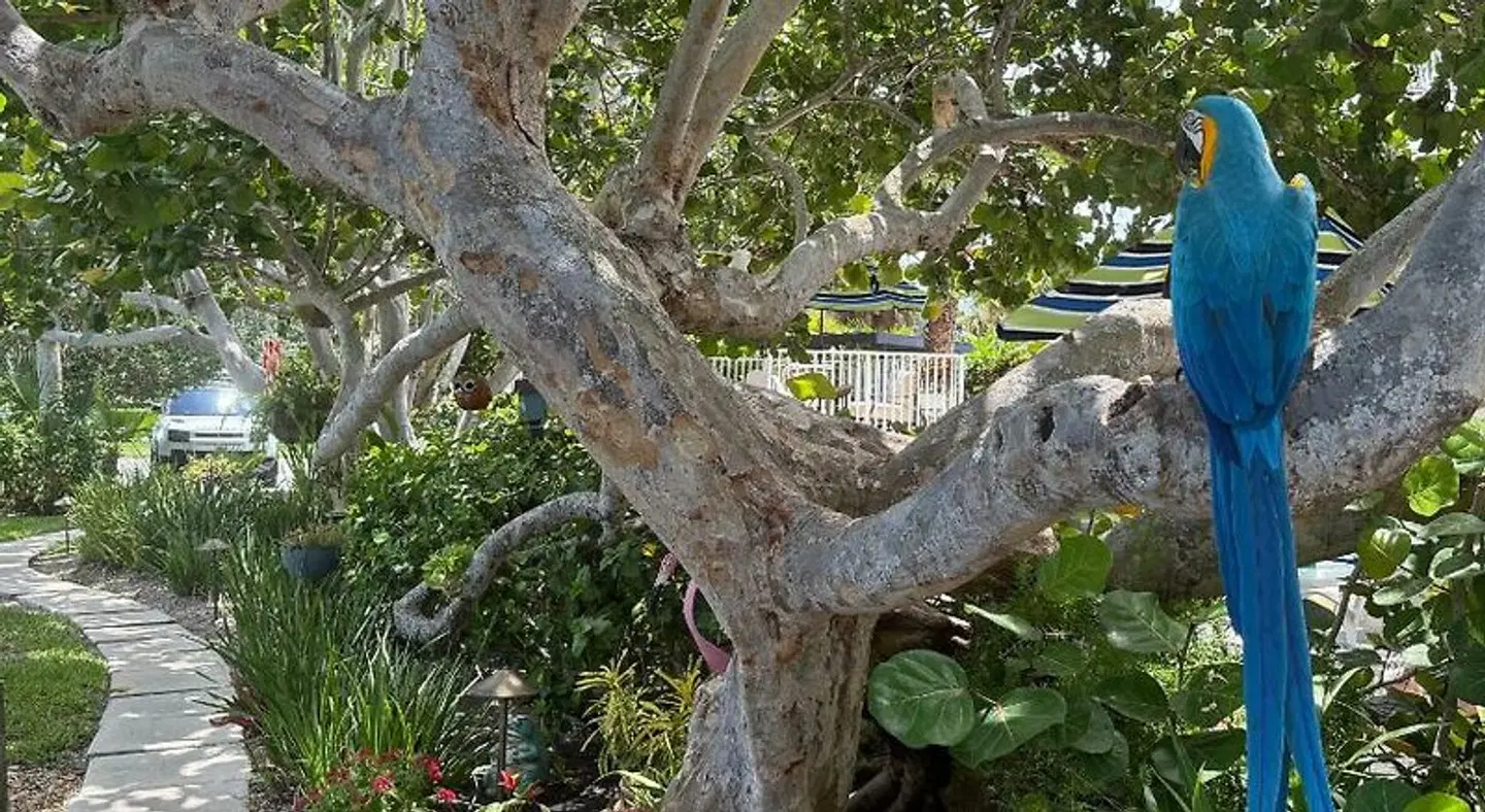 South Beach Place - Vero Beach Tiere