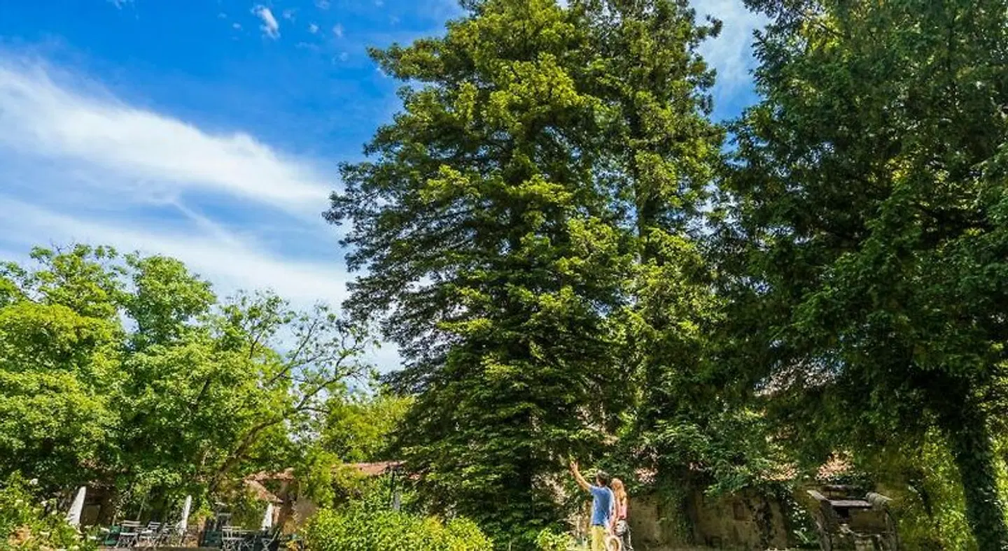 Le Chateau De La Tourlandry - Puy du Fou LANDSCAPE