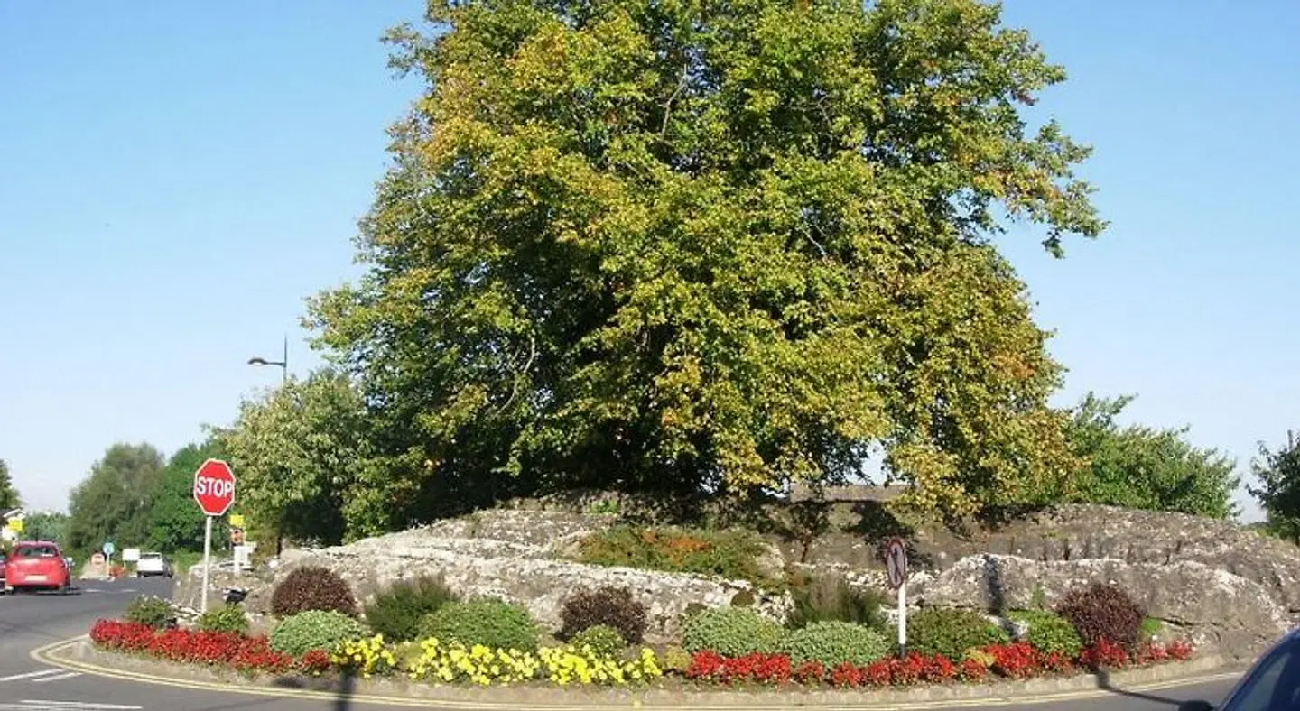 Clareville House B&B Garten