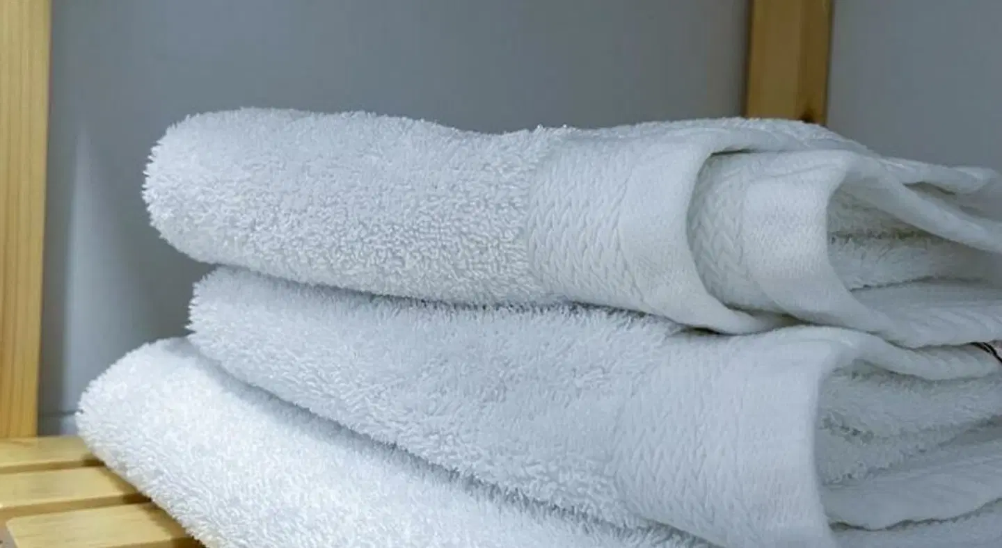 Apartamentos Lusitania Tiere