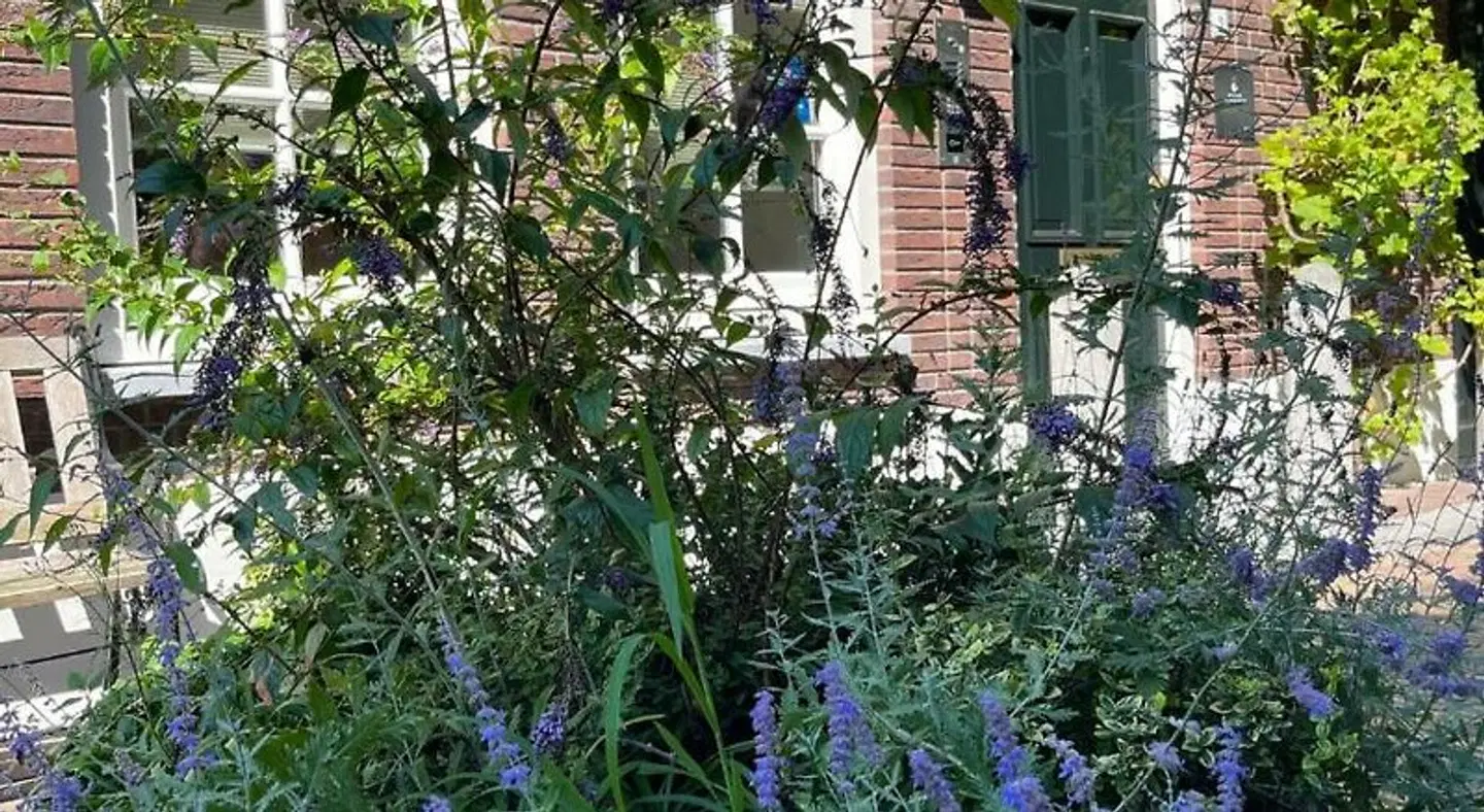 Boutique Hotel Nieuw Uilenburg Garten