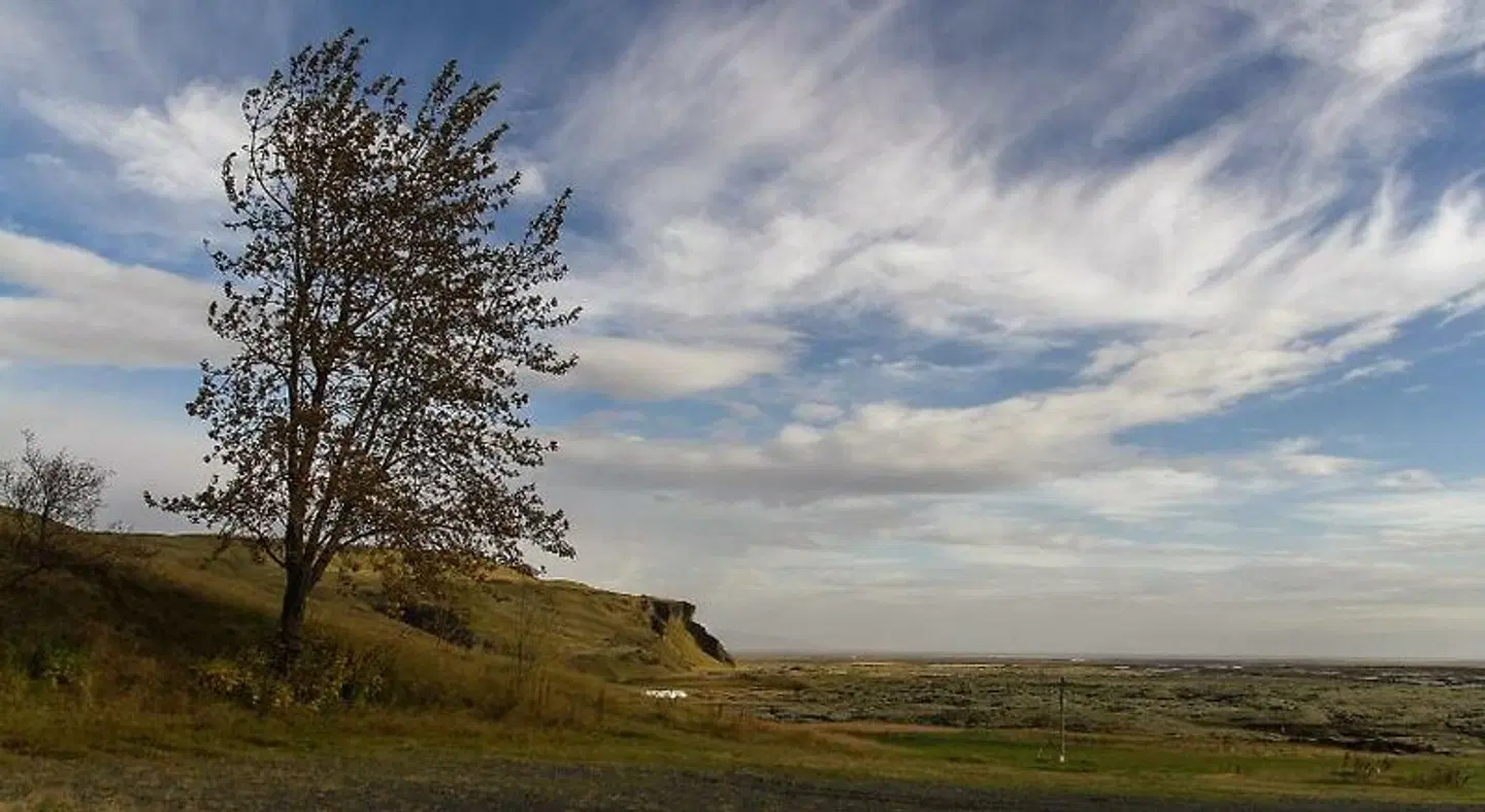 Dalshöfdi Guesthouse LANDSCAPE