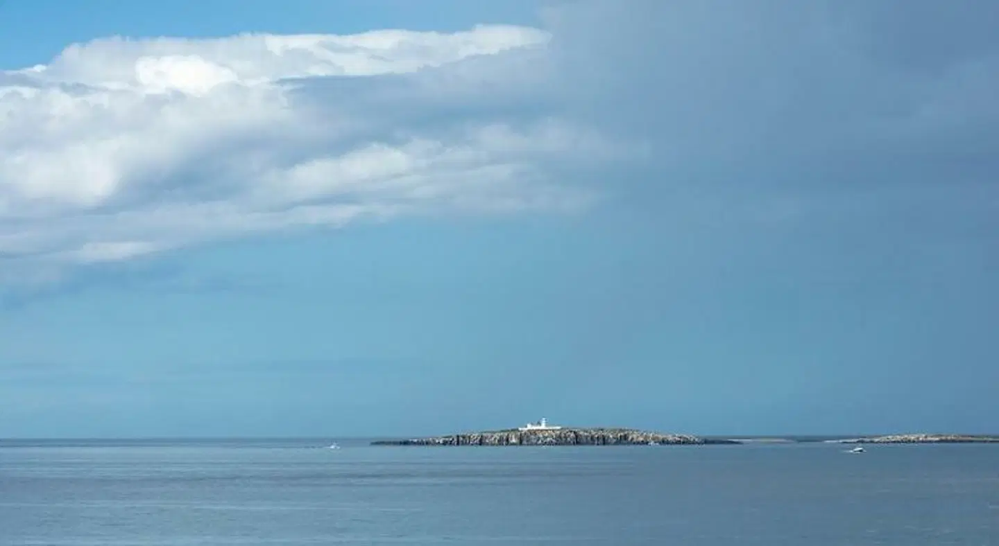Beach House LANDSCAPE