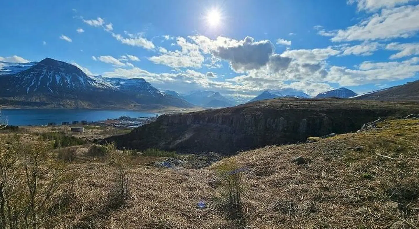 Austur LANDSCAPE