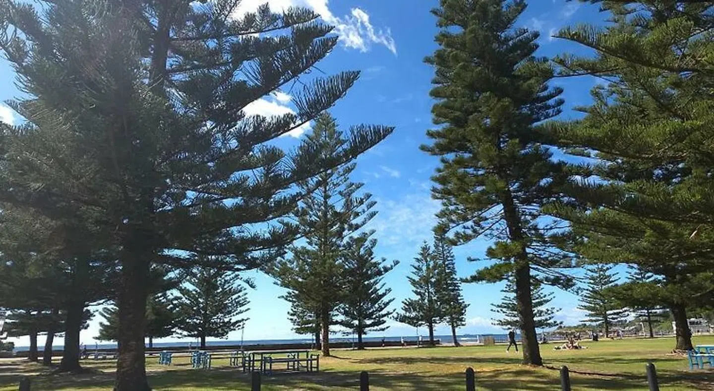 Coogee Beach House - Hostel LANDSCAPE