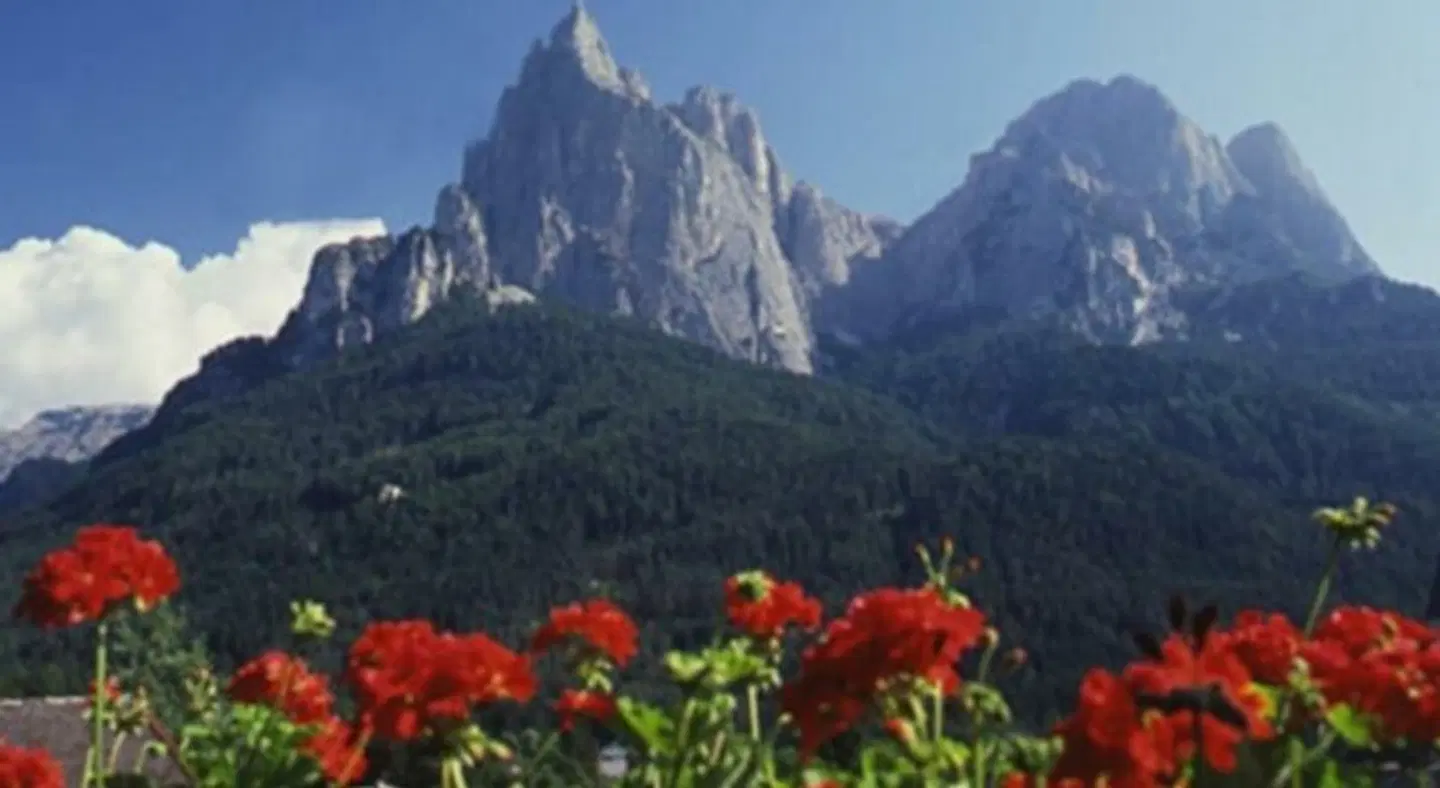 Residence Kampidell LANDSCAPE