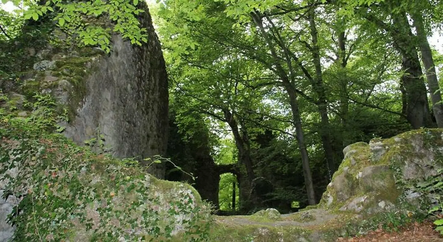 Wasserstelz Garten
