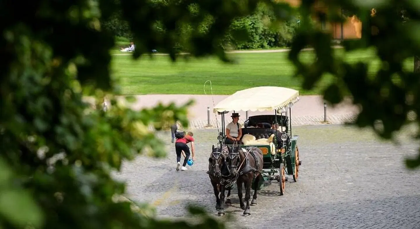 Pension Kleine Residenz SPORTS_AND_LEISURE