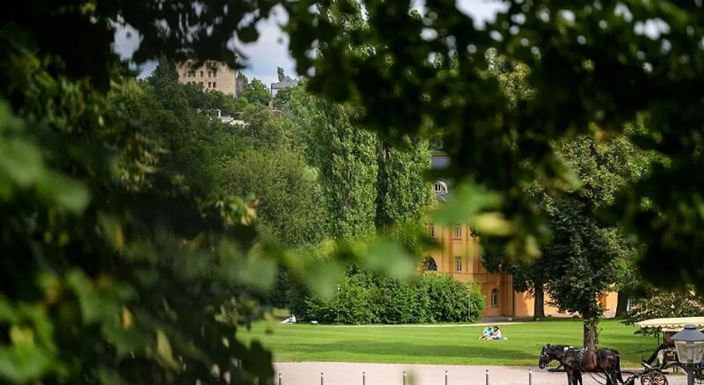 Pension Kleine Residenz Garten