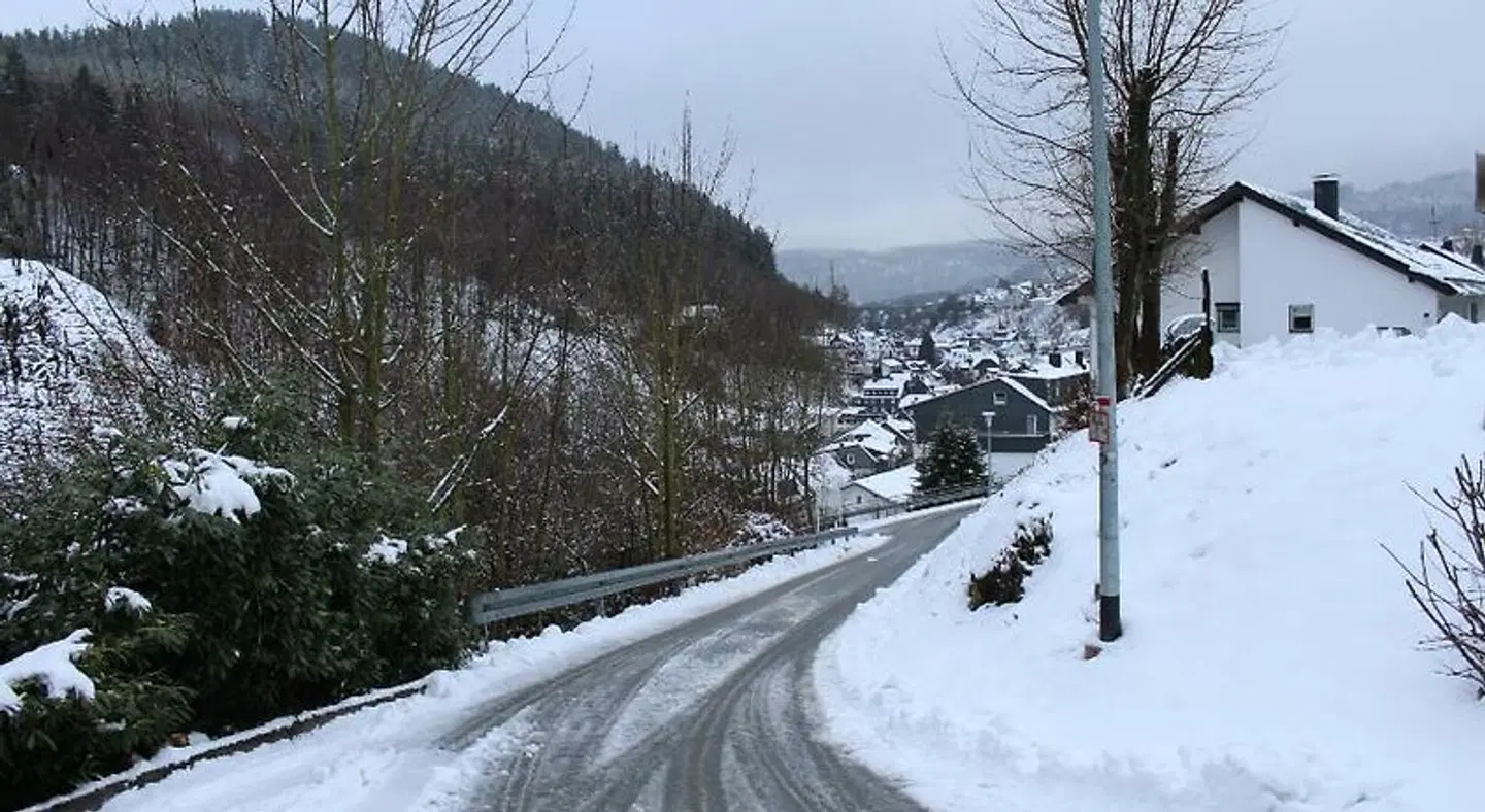 Willingen Berghotel LANDSCAPE