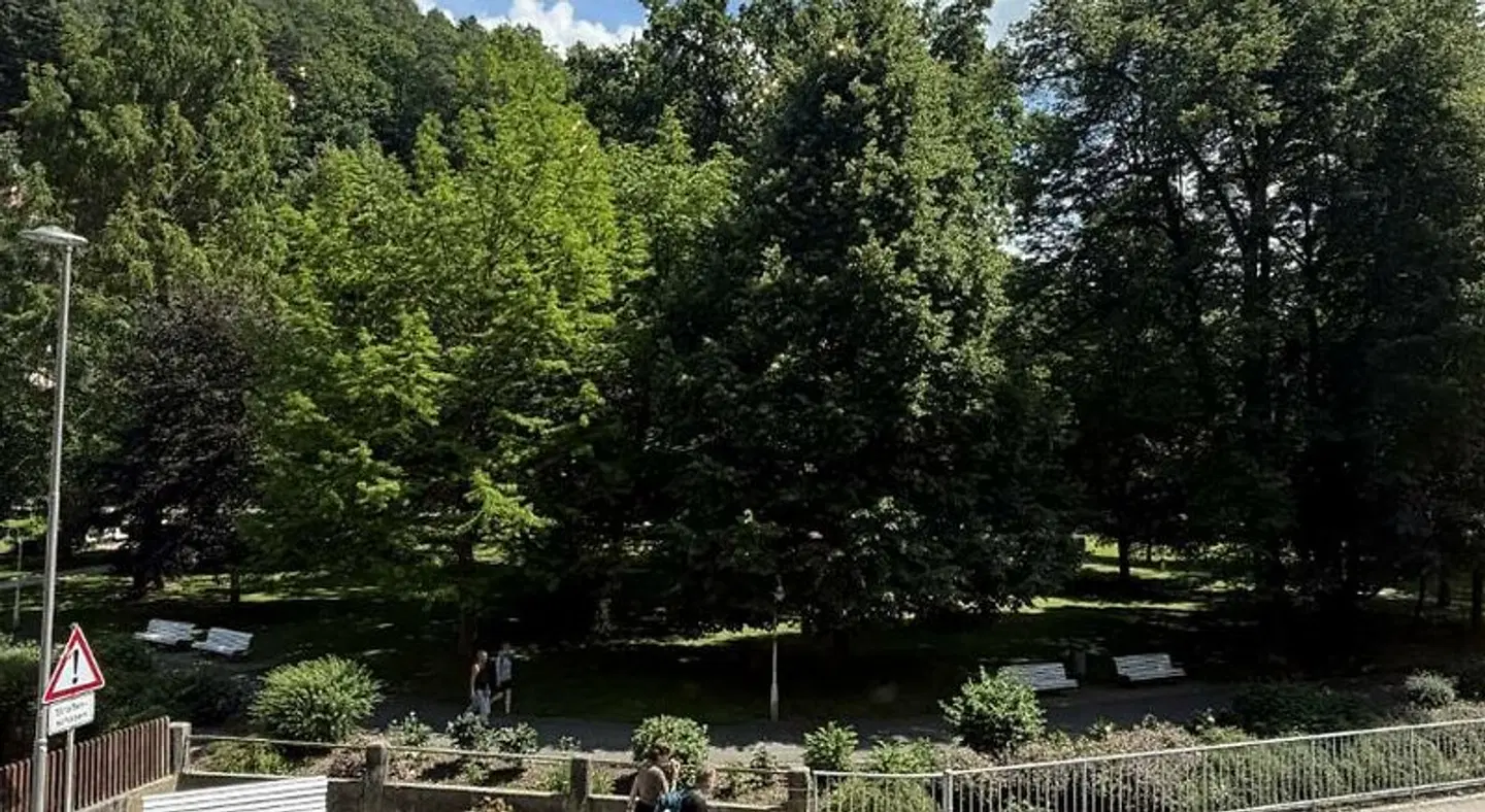 Villa Albrechtsburg LANDSCAPE