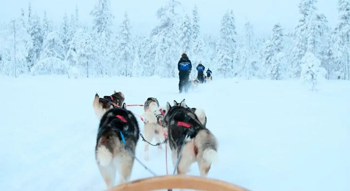 Holiday Club Salla - Holiday Apartments SPORTS_AND_LEISURE