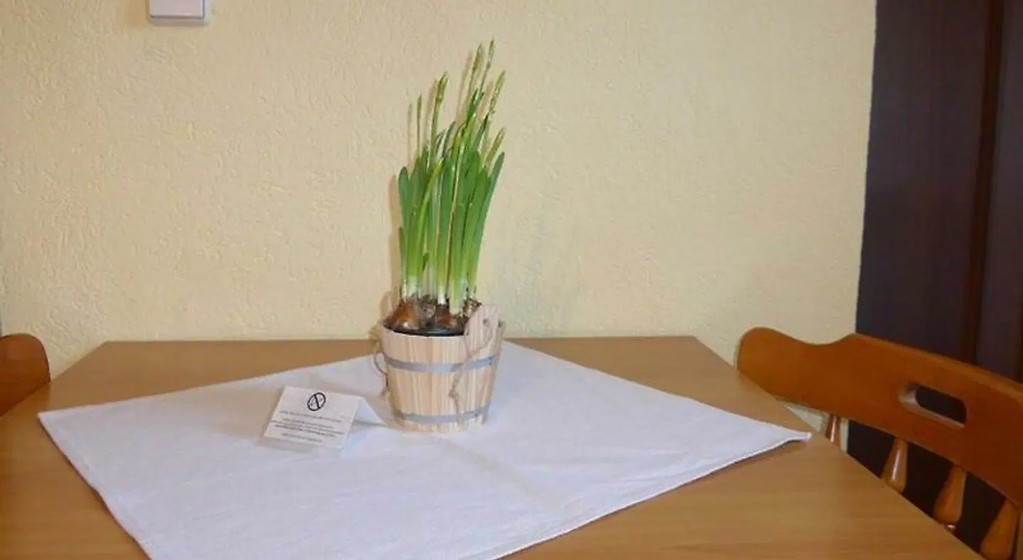 Pension Schutze ROOM_EXAMPLE