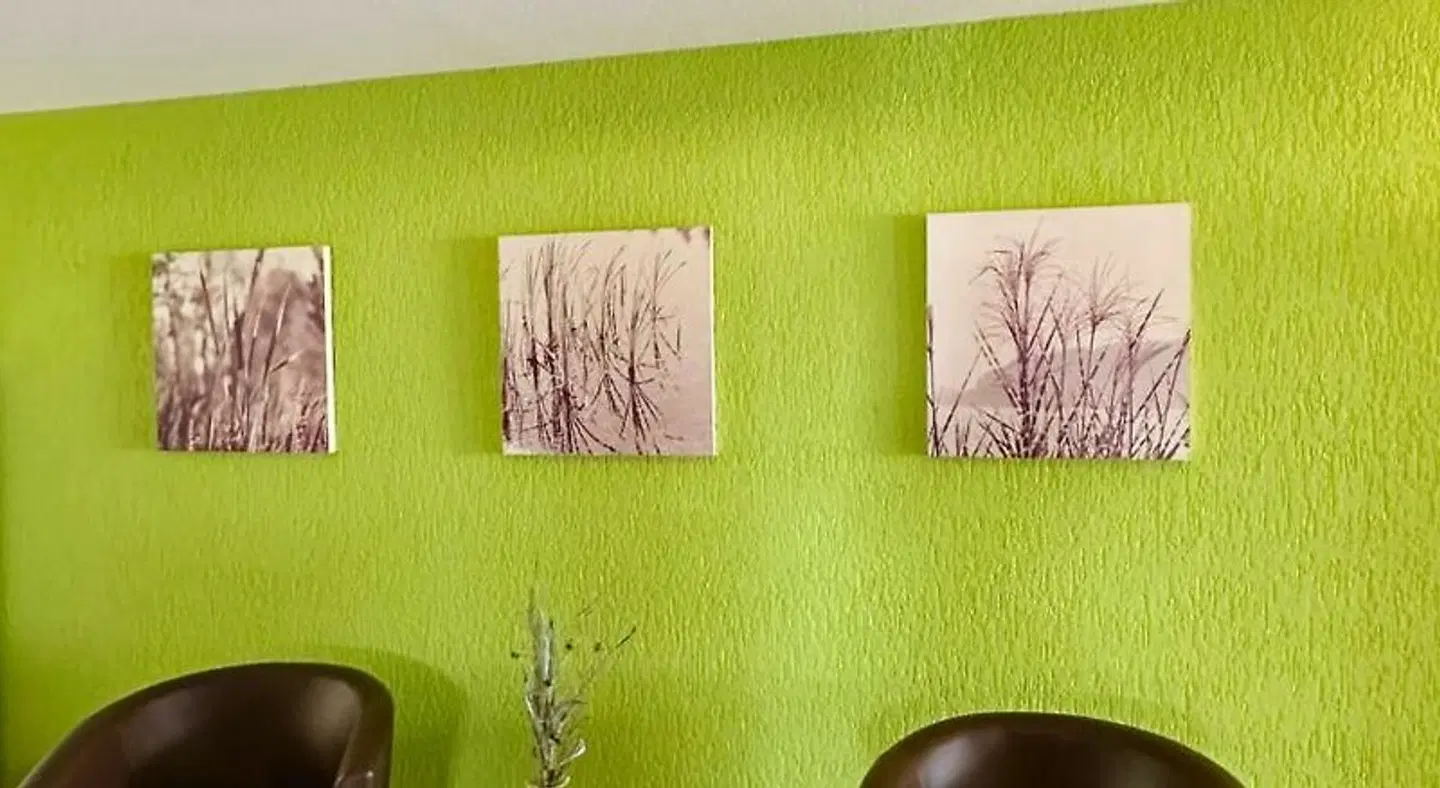 Sunny Side Up - Das Gästehaus ROOM_EXAMPLE