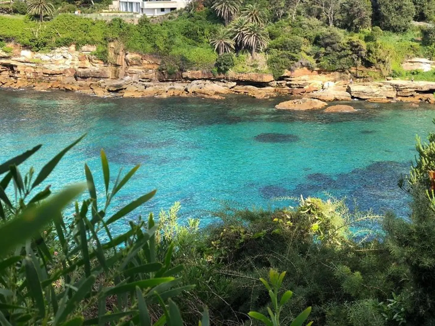 Little Coogee Hotel LANDSCAPE