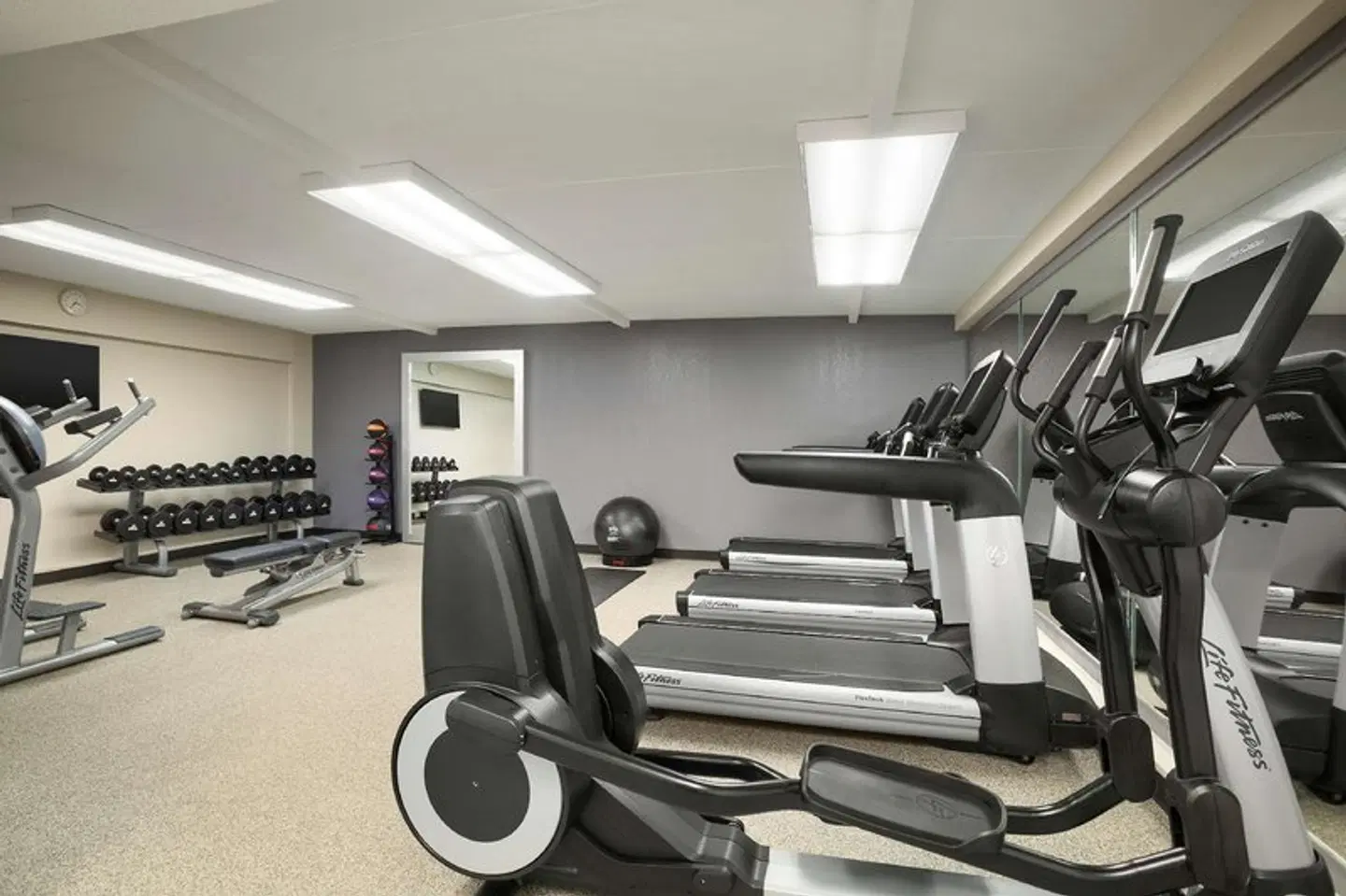 DoubleTree by Hilton DFW Airport North SPORTS_AND_LEISURE