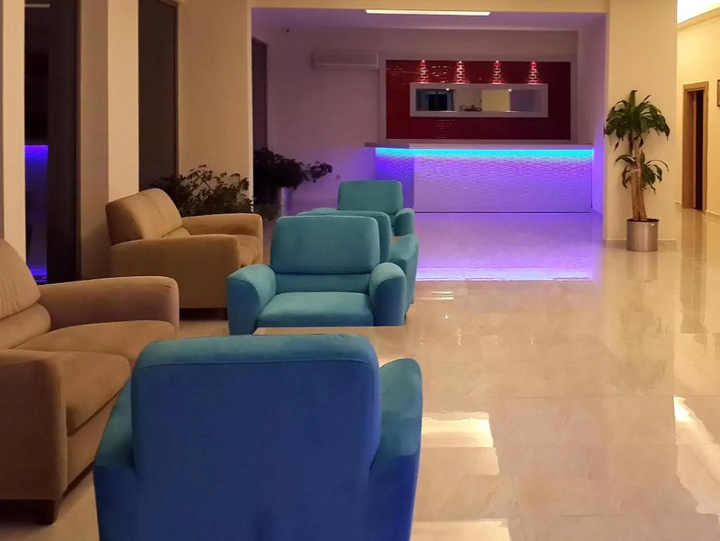 Palmea Hotel LOUNGE_LOBBY