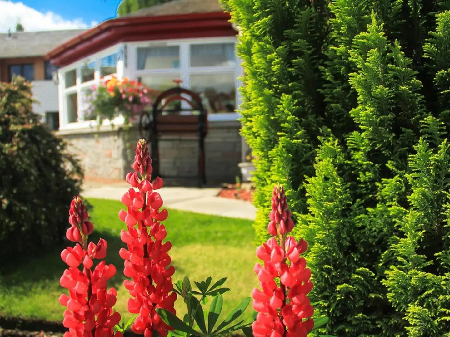 Atholl Villa Guest House Garten