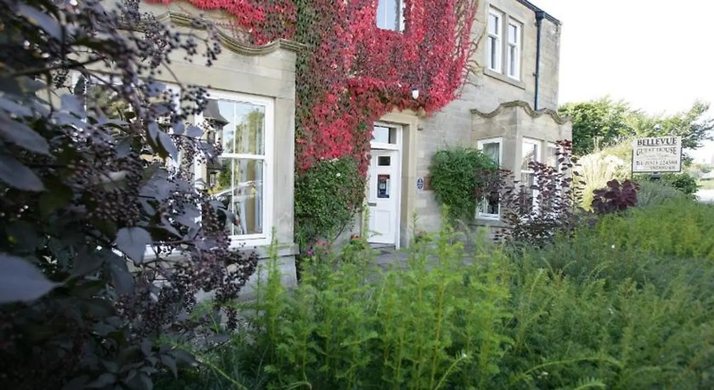 Bellevue Guest House EXTERIOR