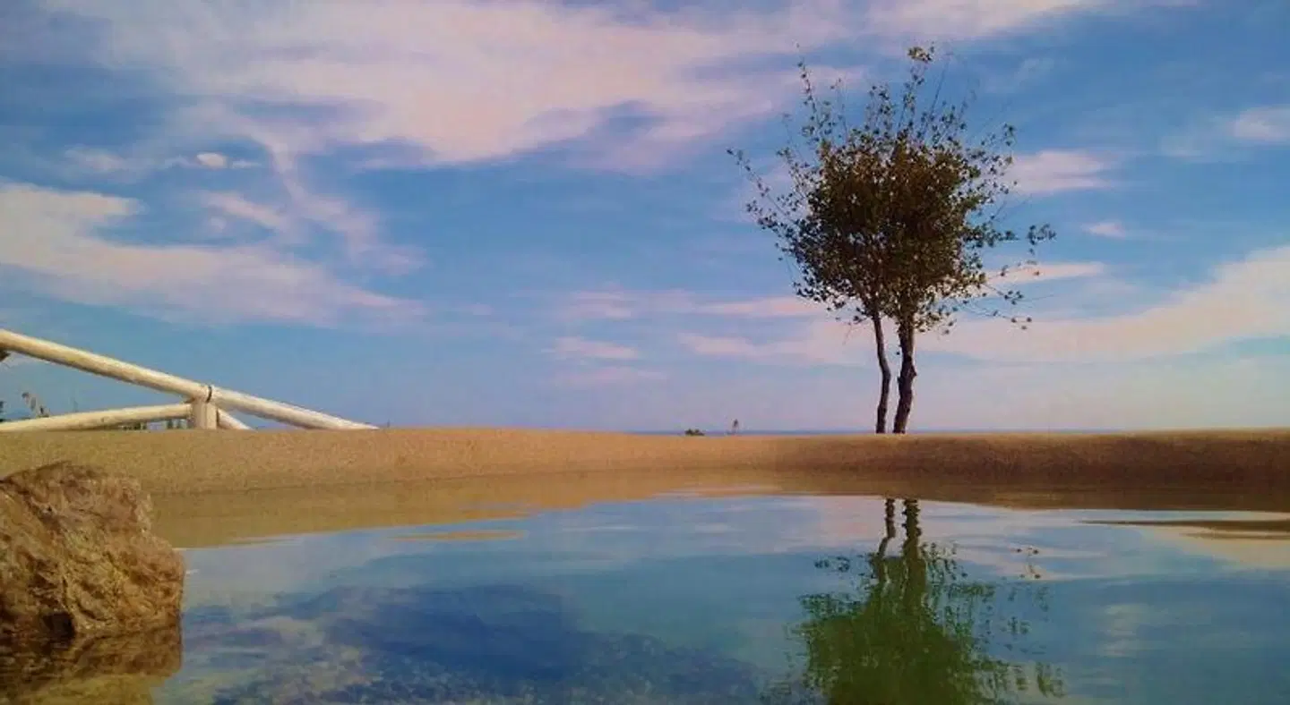 Tenuta Solomita LANDSCAPE