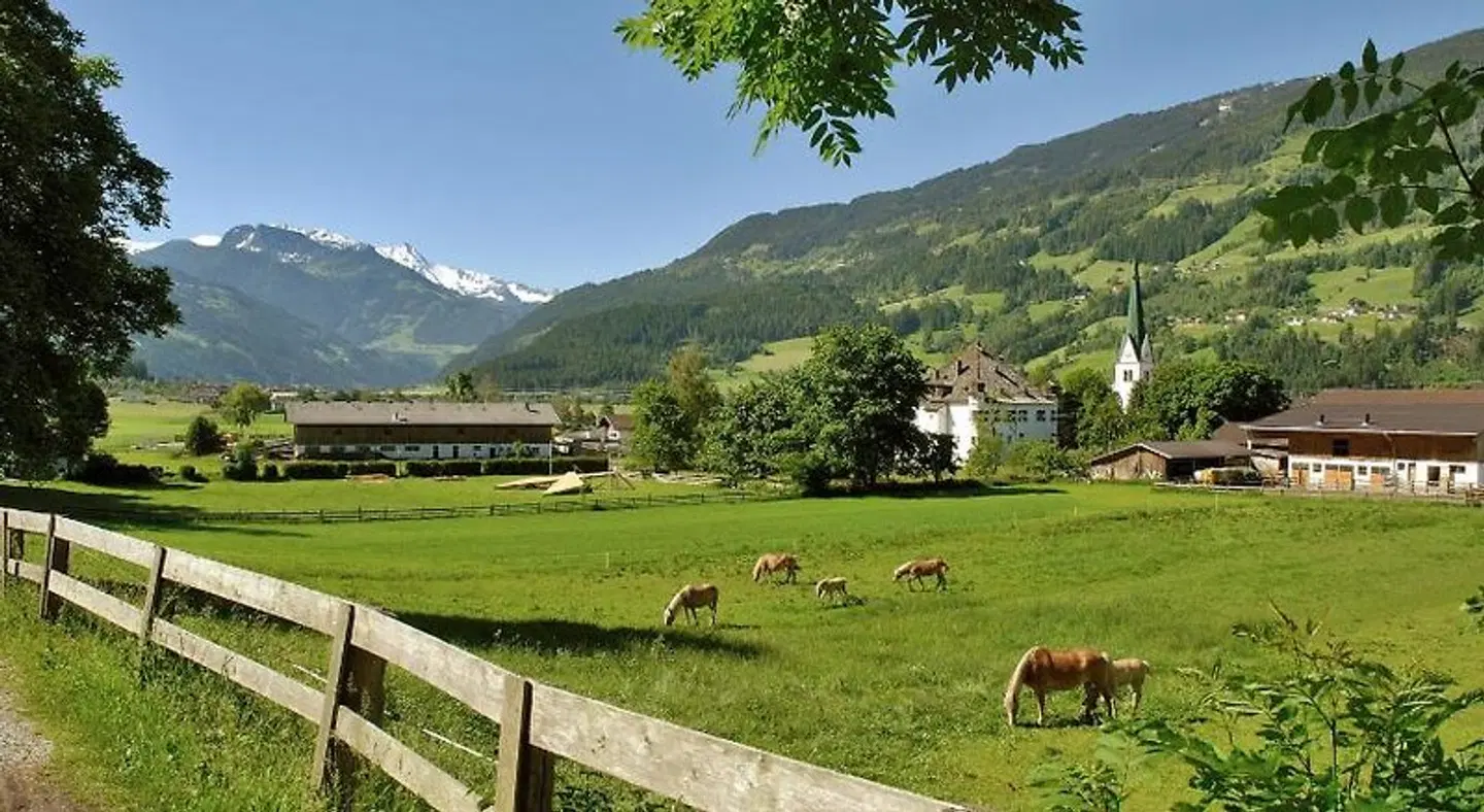 Tipotsch Tiere