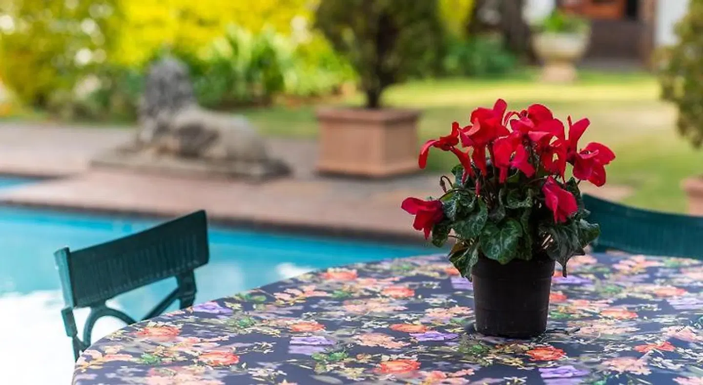 5th Avenue Gooseberry Guest House HEALTH_BEAUTY