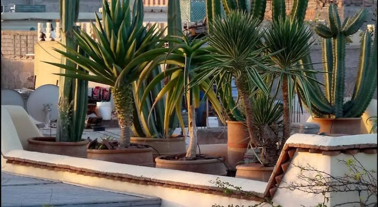 Riad Noos Noos Terrasse