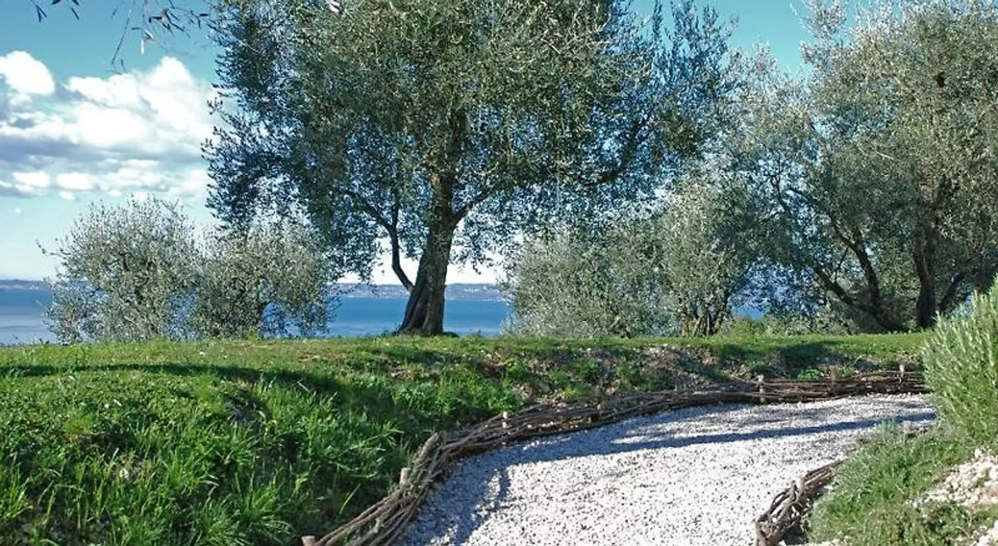 Prati Palai LANDSCAPE