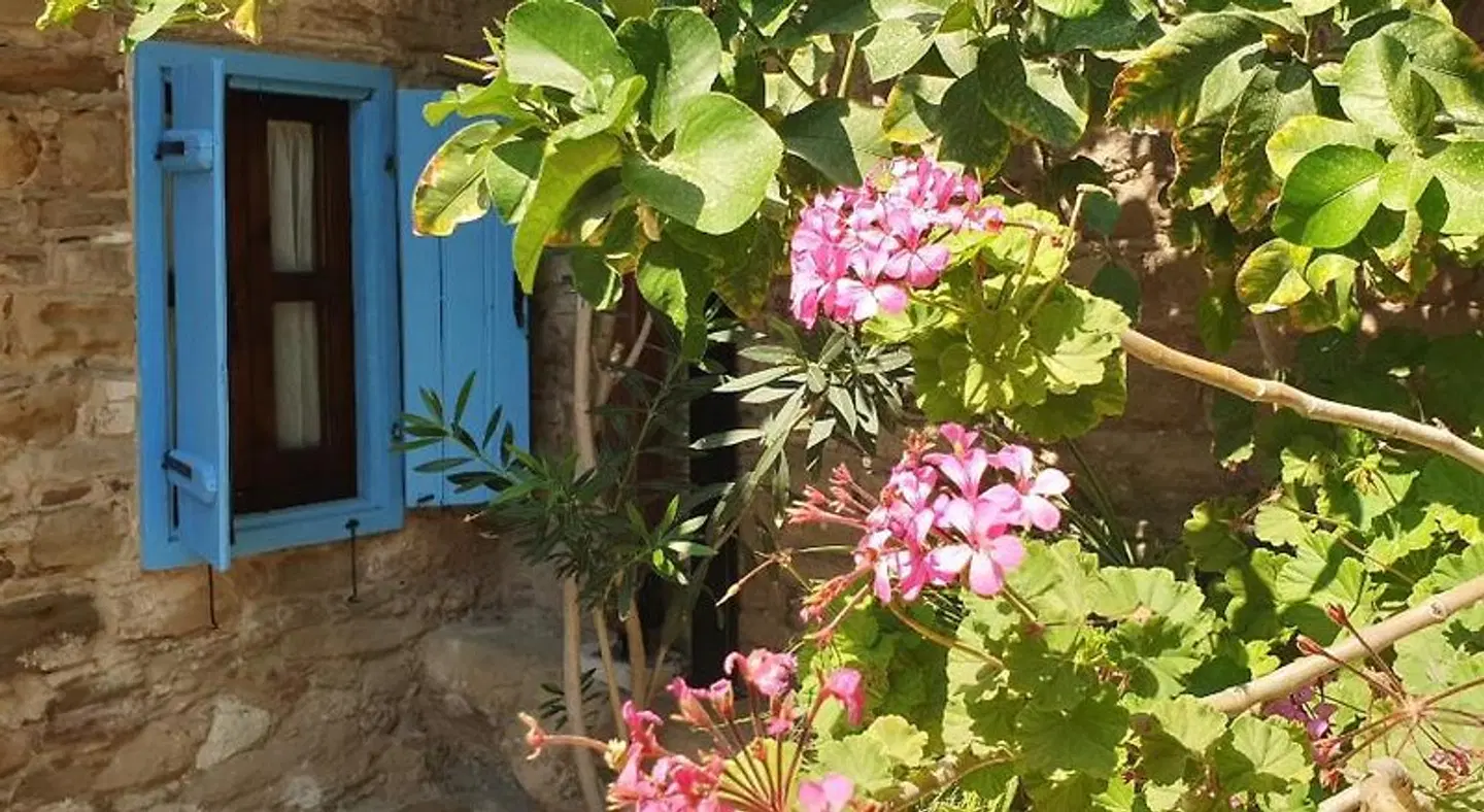 Vasilopoulos House Garten