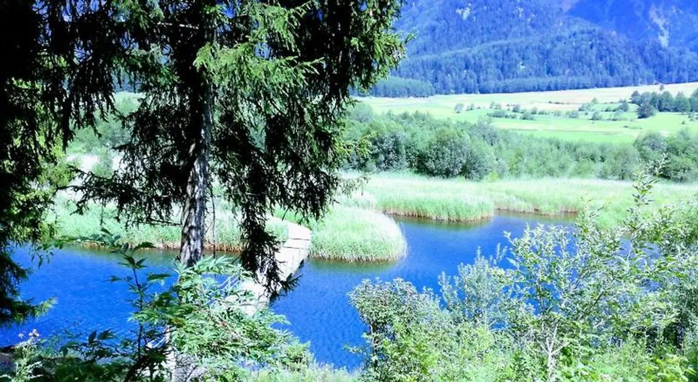 Pension Sprenger LANDSCAPE