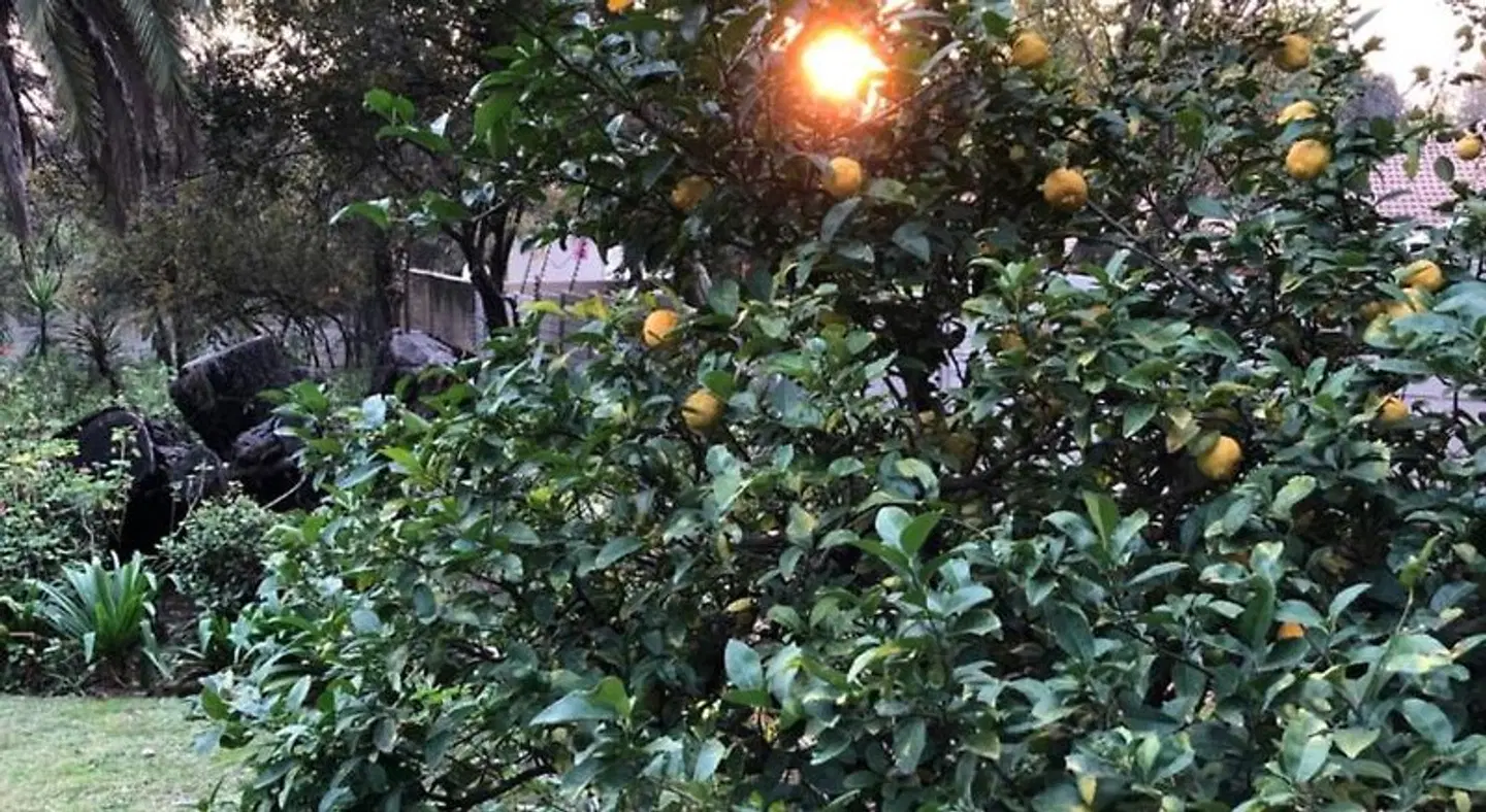 The Haystack On Homestead Garten