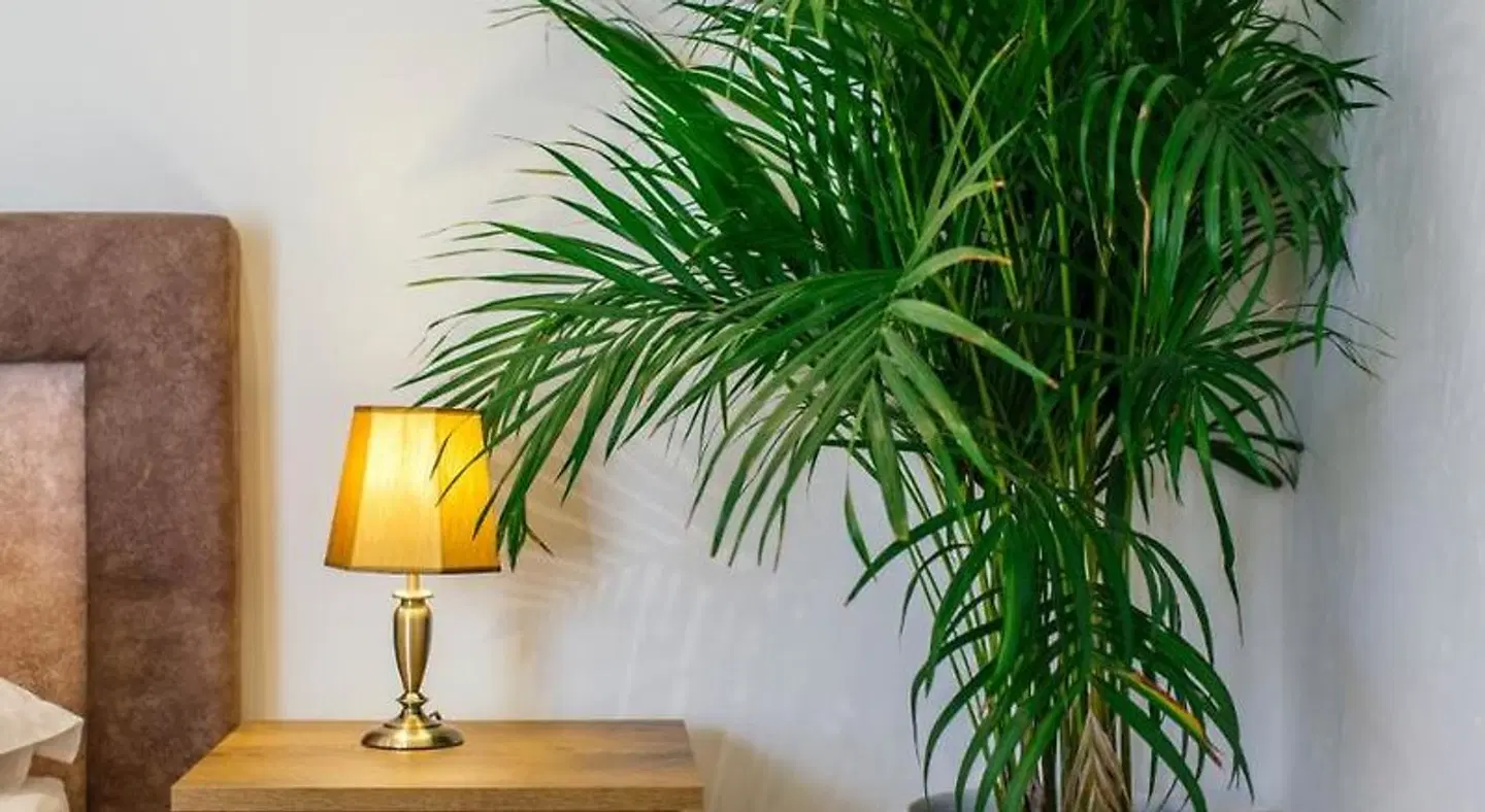 Heritage Hotel Dea Garten