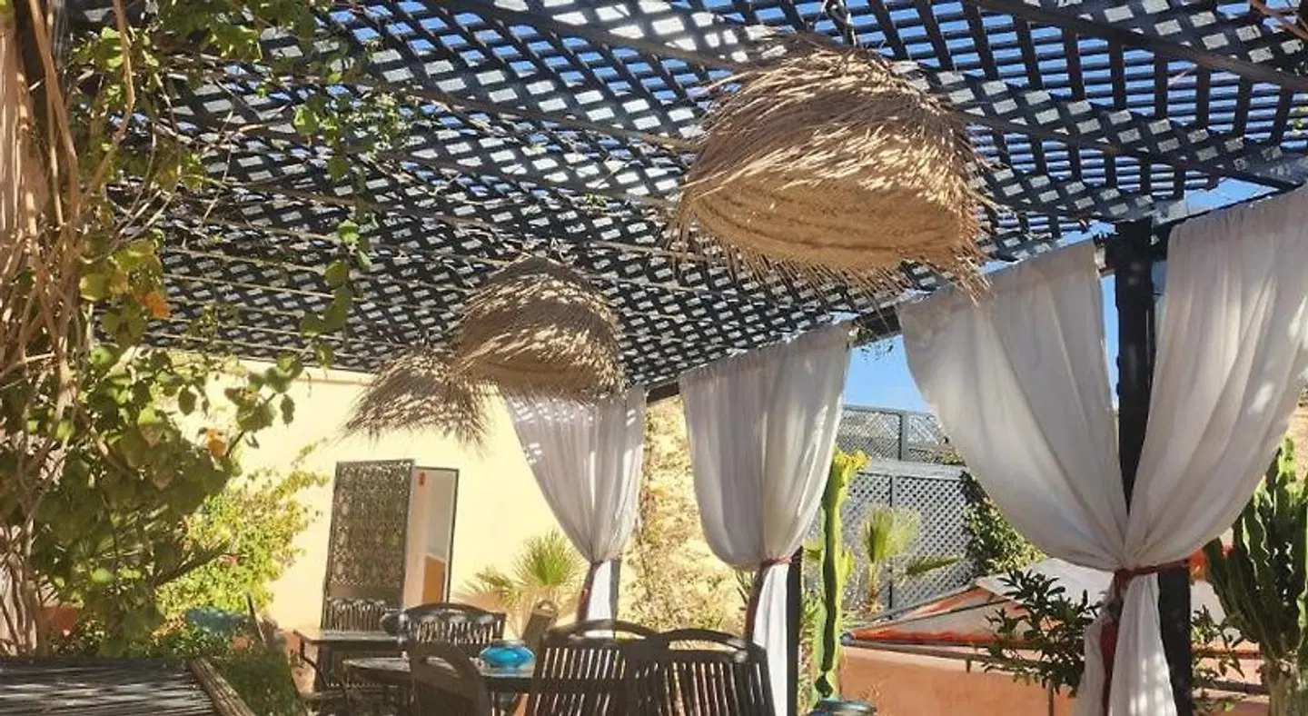 Riad Bayti Tiere