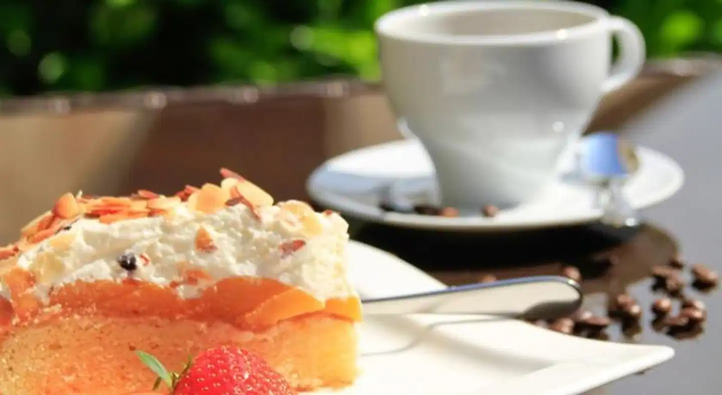 Fruendts Wellness