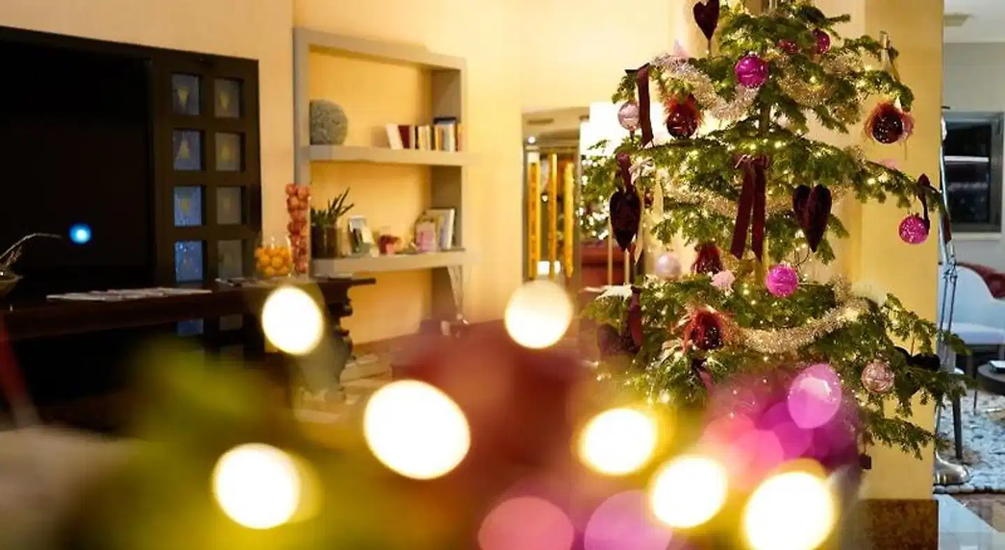 Da Porto Sport und Entertainment