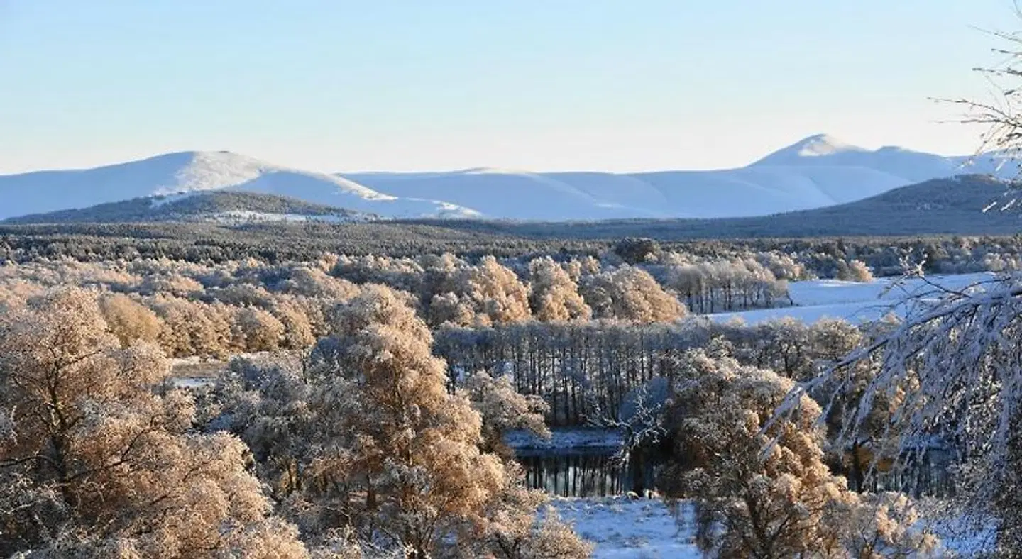 Brooklynn LANDSCAPE