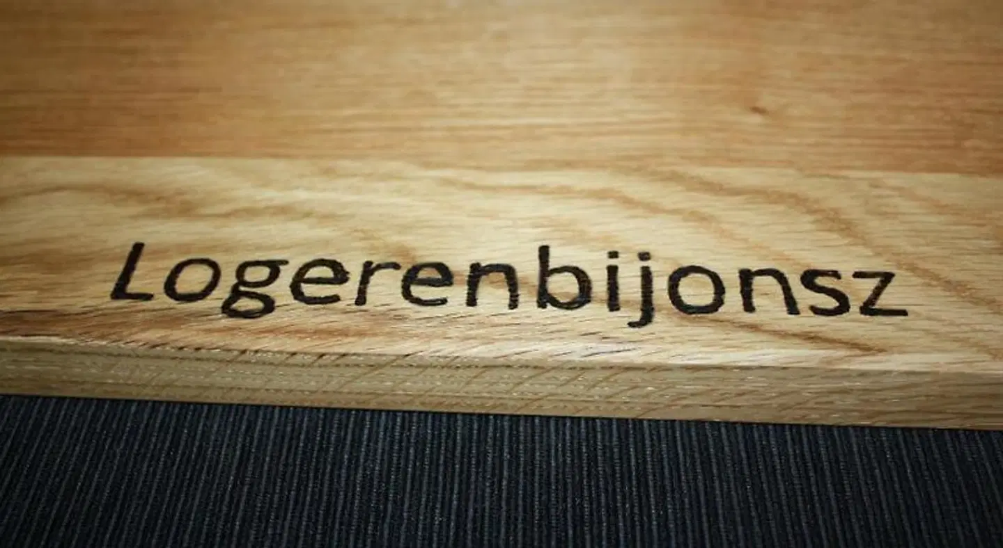 Logerenbijonsz Konferenz
