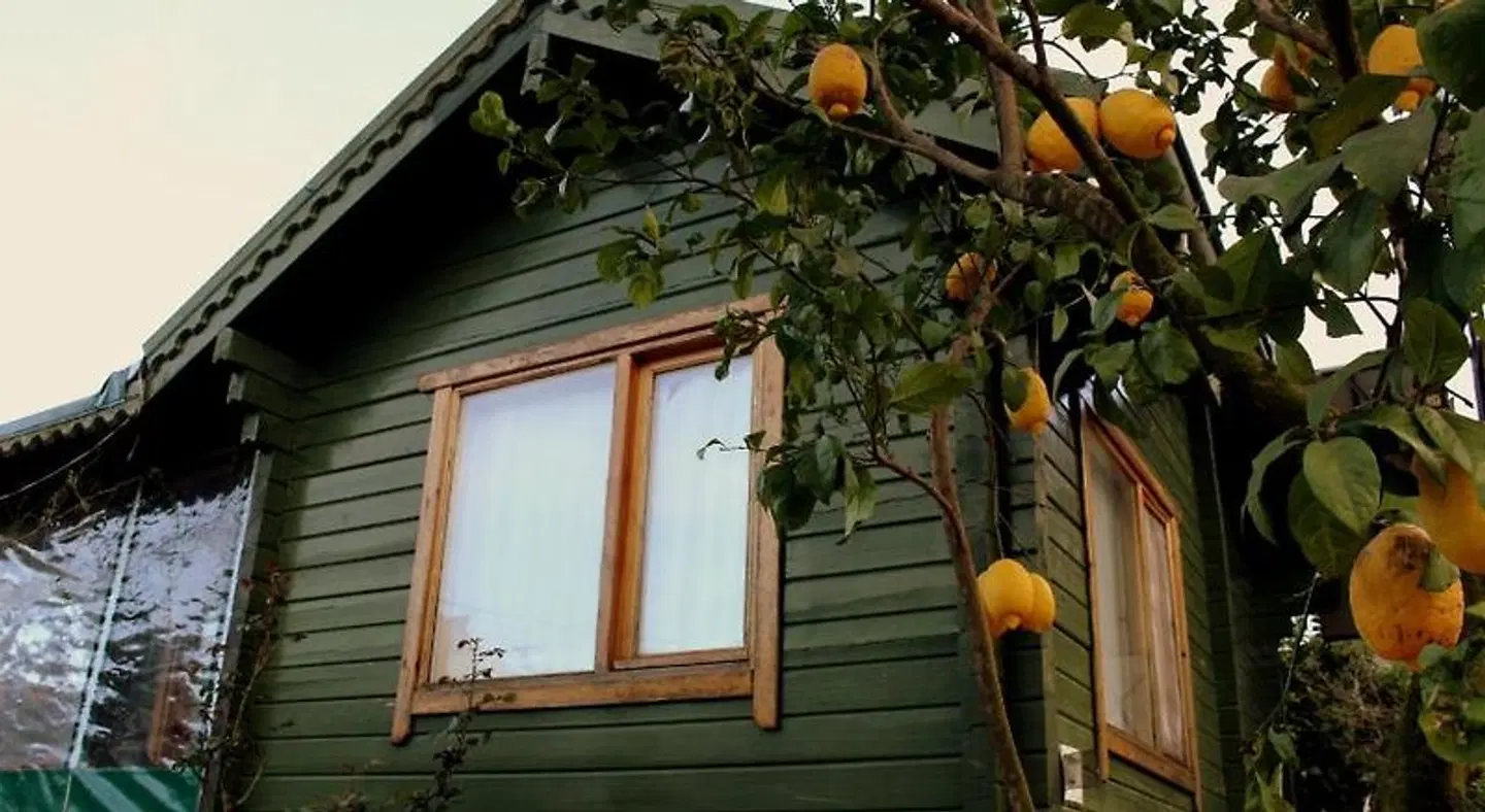Turkuaz Bungalows SPORTS_AND_LEISURE