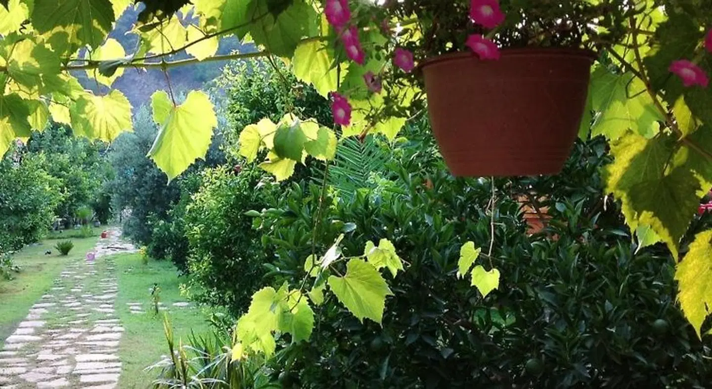 Turkuaz Bungalows Garten