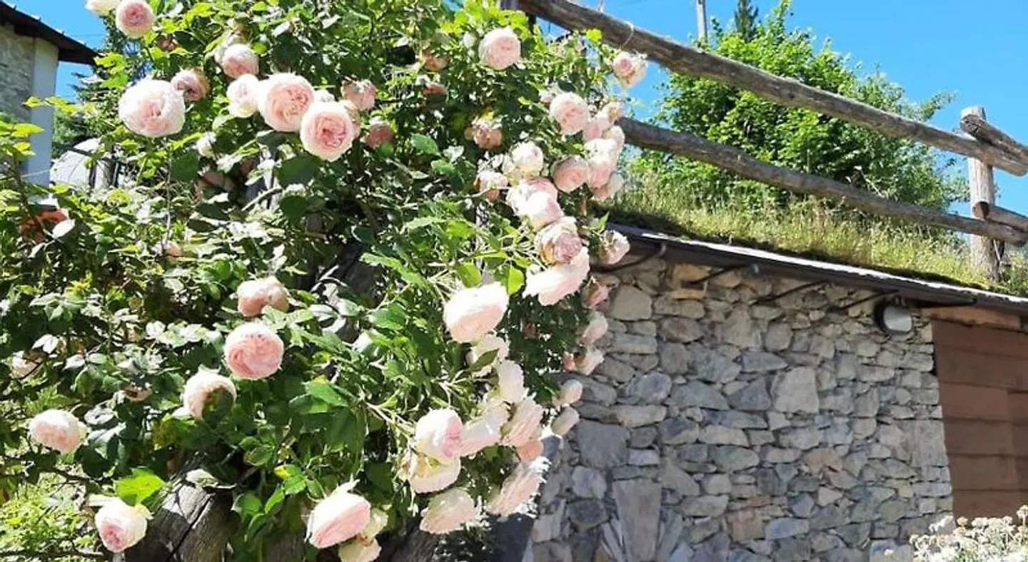 Affittacamere La Lea LANDSCAPE