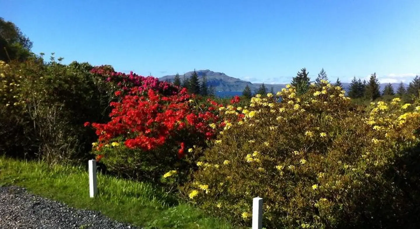 Linndhu House LANDSCAPE